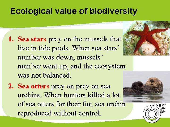 Ecological value of biodiversity 1. Sea stars prey on the mussels that live in