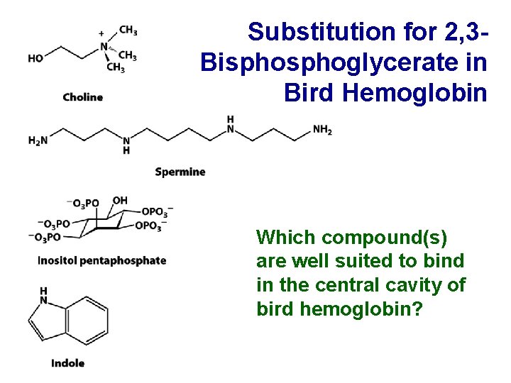 Substitution for 2, 3 Bisphoglycerate in Bird Hemoglobin Which compound(s) are well suited to