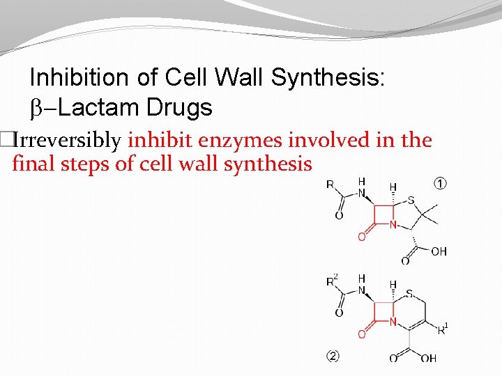 Inhibition of Cell Wall Synthesis: b-Lactam Drugs �Irreversibly inhibit enzymes involved in the final
