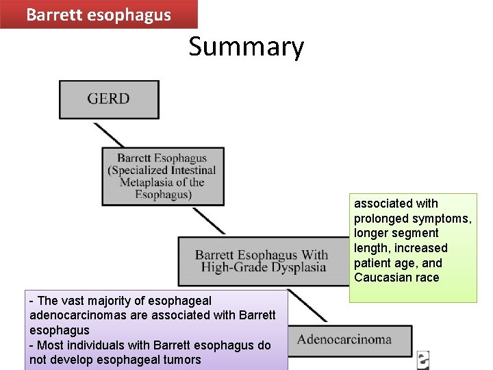 Barrett esophagus Summary associated with prolonged symptoms, longer segment length, increased patient age, and