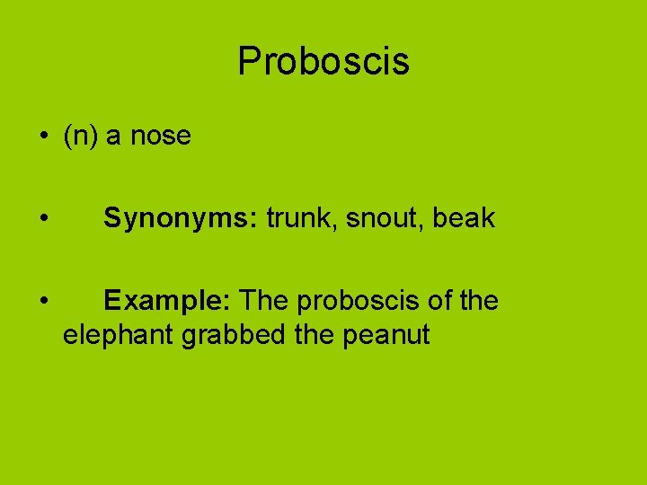 Proboscis • (n) a nose • Synonyms: trunk, snout, beak • Example: The proboscis