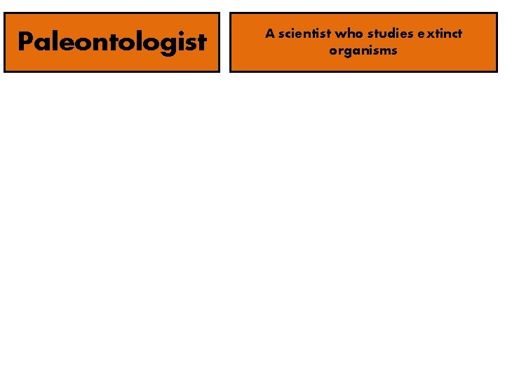 Paleontologist A scientist who studies extinct organisms 