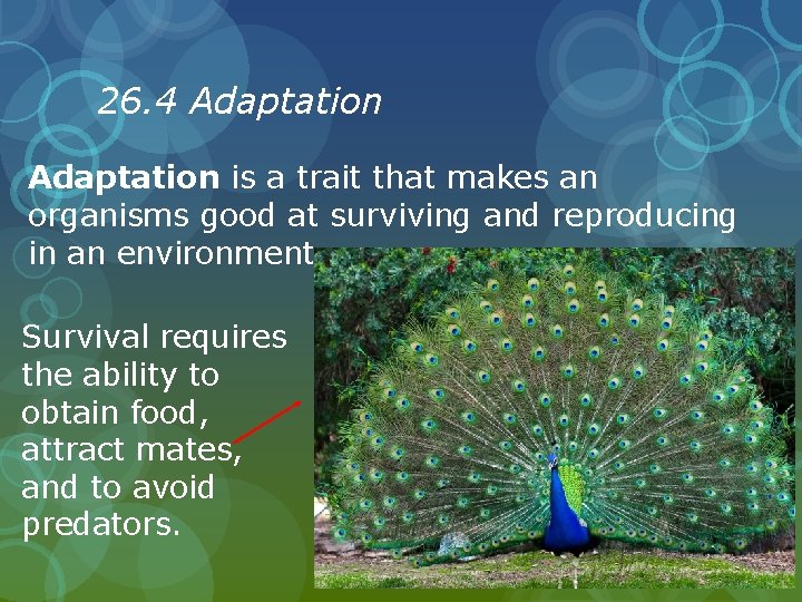 26. 4 Adaptation is a trait that makes an organisms good at surviving and