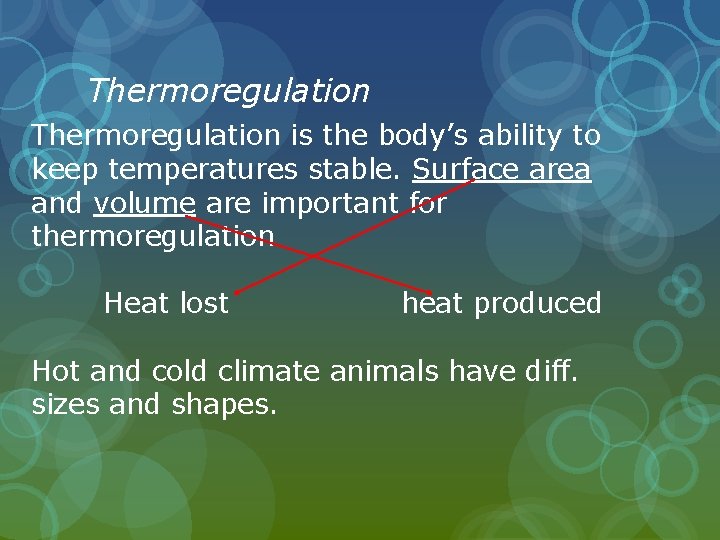 Thermoregulation is the body’s ability to keep temperatures stable. Surface area and volume are