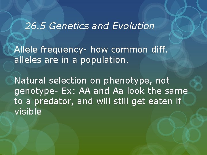 26. 5 Genetics and Evolution Allele frequency- how common diff. alleles are in a
