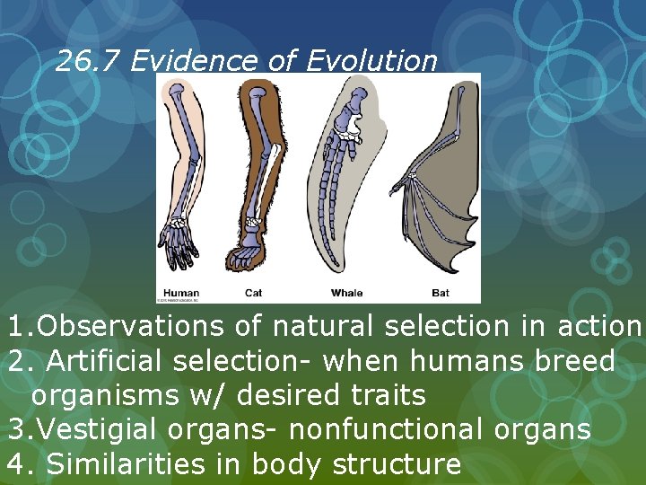 26. 7 Evidence of Evolution 1. Observations of natural selection in action 2. Artificial