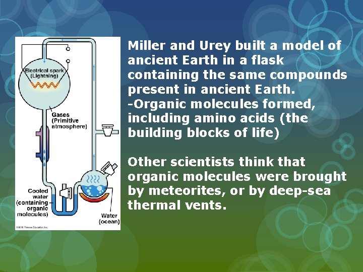 Miller and Urey built a model of ancient Earth in a flask containing the