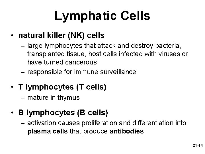 Lymphatic Cells • natural killer (NK) cells – large lymphocytes that attack and destroy