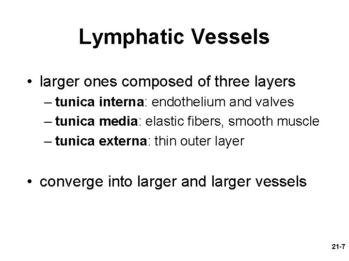 Lymphatic Vessels • larger ones composed of three layers – tunica interna: endothelium and