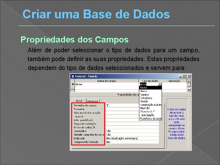 Criar uma Base de Dados Propriedades dos Campos Além de poder seleccionar o tipo