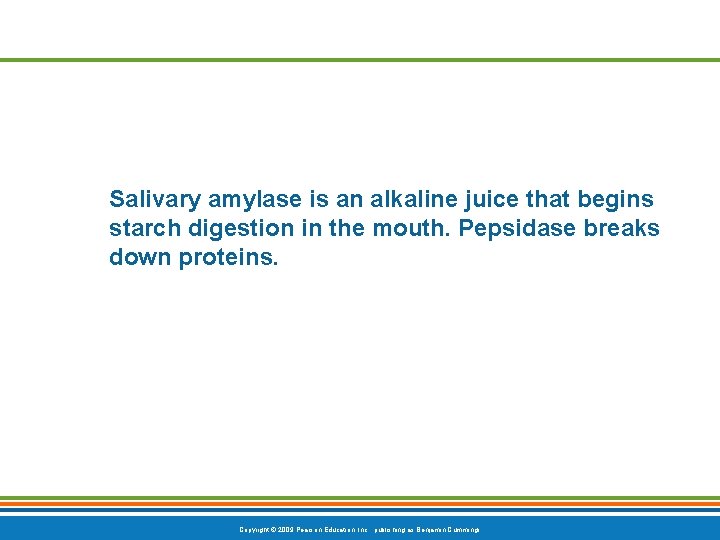Salivary amylase is an alkaline juice that begins starch digestion in the mouth. Pepsidase