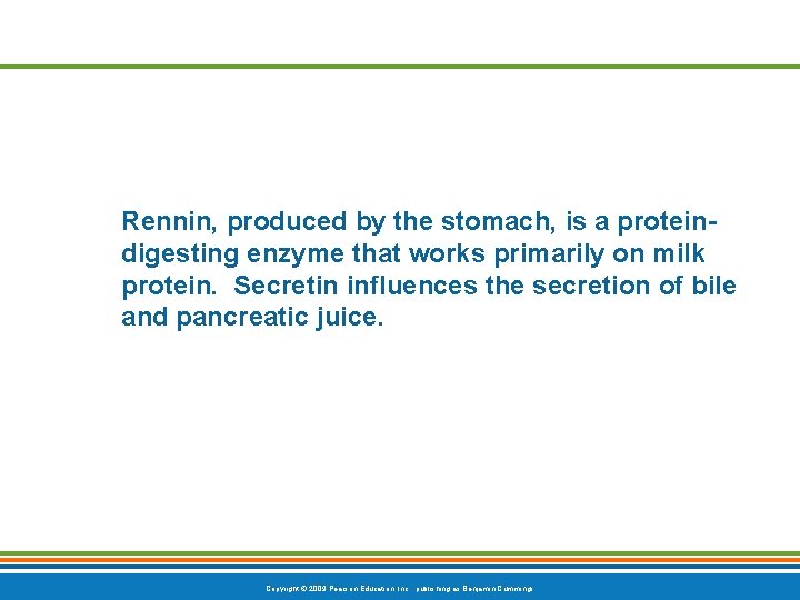 Rennin, produced by the stomach, is a proteindigesting enzyme that works primarily on milk