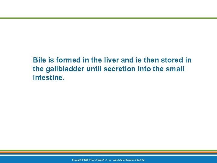 Bile is formed in the liver and is then stored in the gallbladder until