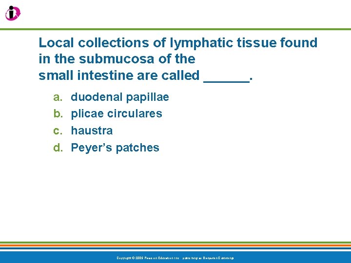 Local collections of lymphatic tissue found in the submucosa of the small intestine are