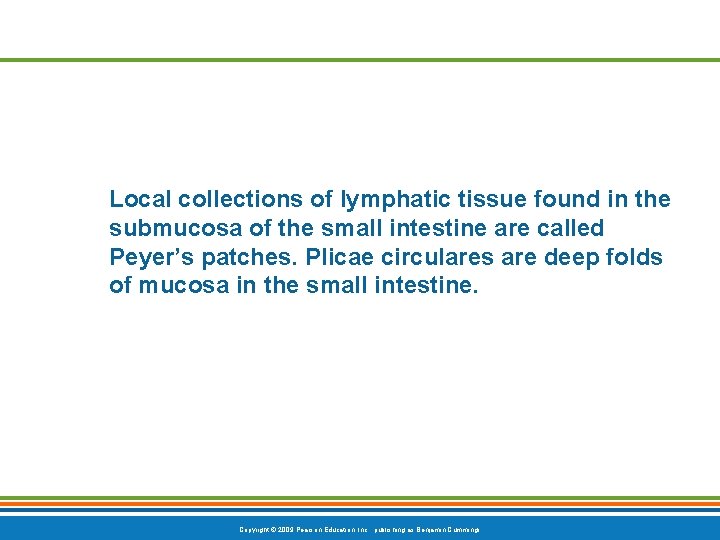 Local collections of lymphatic tissue found in the submucosa of the small intestine are