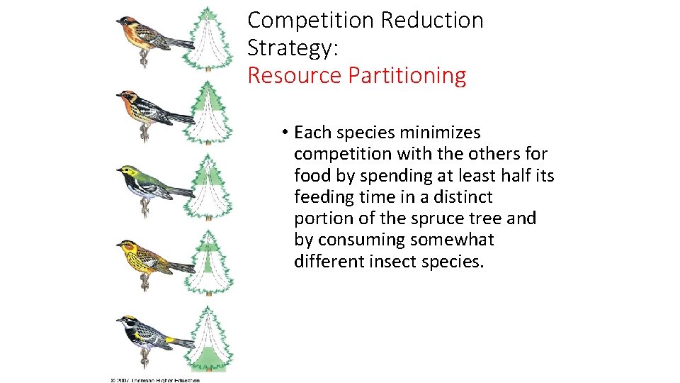Competition Reduction Strategy: Resource Partitioning • Each species minimizes competition with the others for