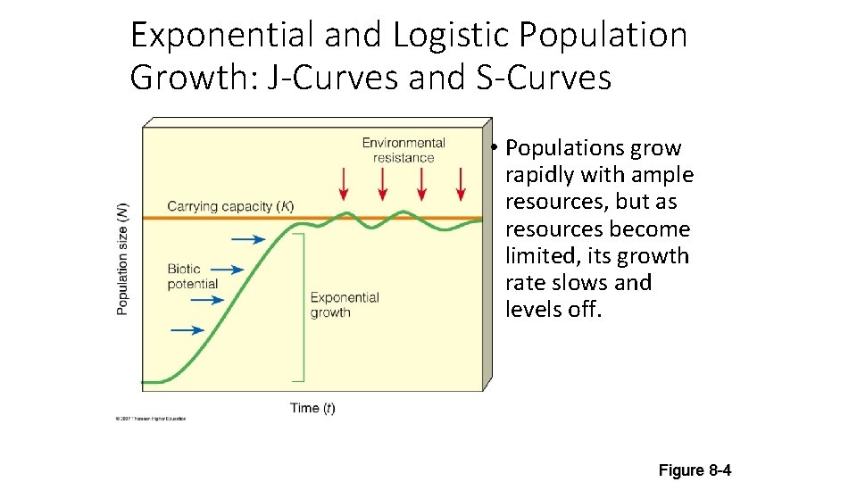 Exponential and Logistic Population Growth: J-Curves and S-Curves • Populations grow rapidly with ample
