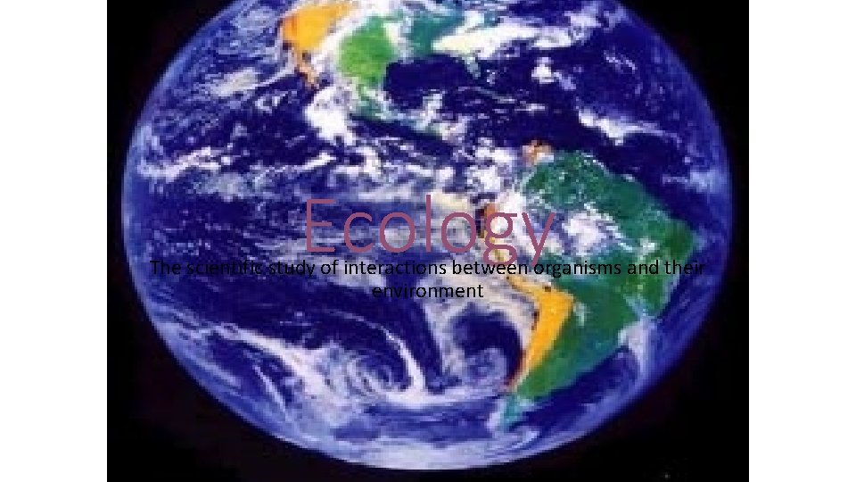 Ecology The scientific study of interactions between organisms and their environment 