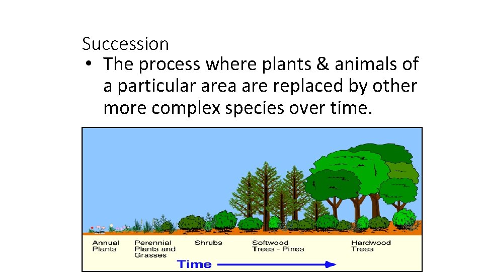 Succession • The process where plants & animals of a particular area are replaced