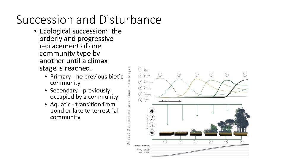 Succession and Disturbance • Ecological succession: the orderly and progressive replacement of one community