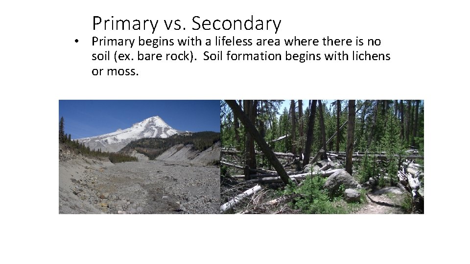 Primary vs. Secondary • Primary begins with a lifeless area where there is no