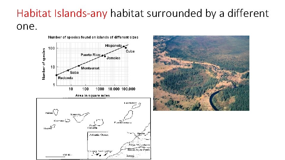 Habitat Islands-any habitat surrounded by a different one. 