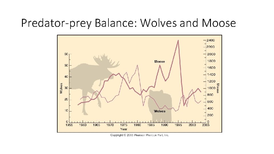 Predator-prey Balance: Wolves and Moose 
