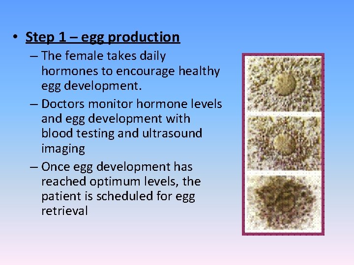  • Step 1 – egg production – The female takes daily hormones to