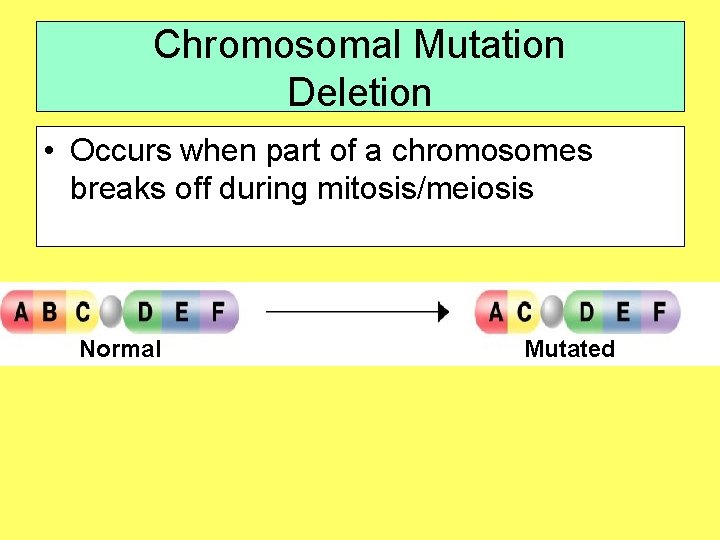 Chromosomal Mutation Deletion • Occurs when part of a chromosomes breaks off during mitosis/meiosis