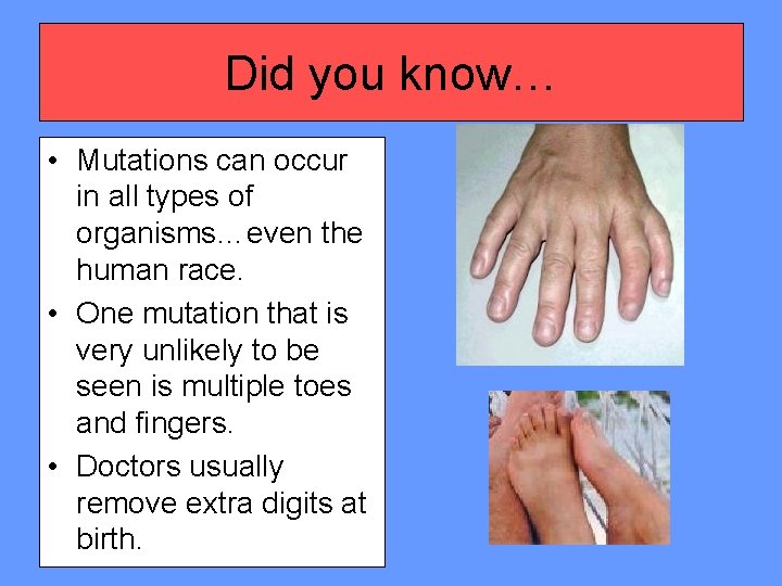 Did you know… • Mutations can occur in all types of organisms…even the human