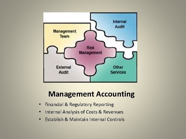 Management Accounting • Financial & Regulatory Reporting • Internal Analysis of Costs & Revenues