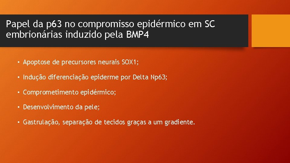 Papel da p 63 no compromisso epidérmico em SC embrionárias induzido pela BMP 4
