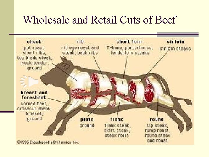 Wholesale and Retail Cuts of Beef 