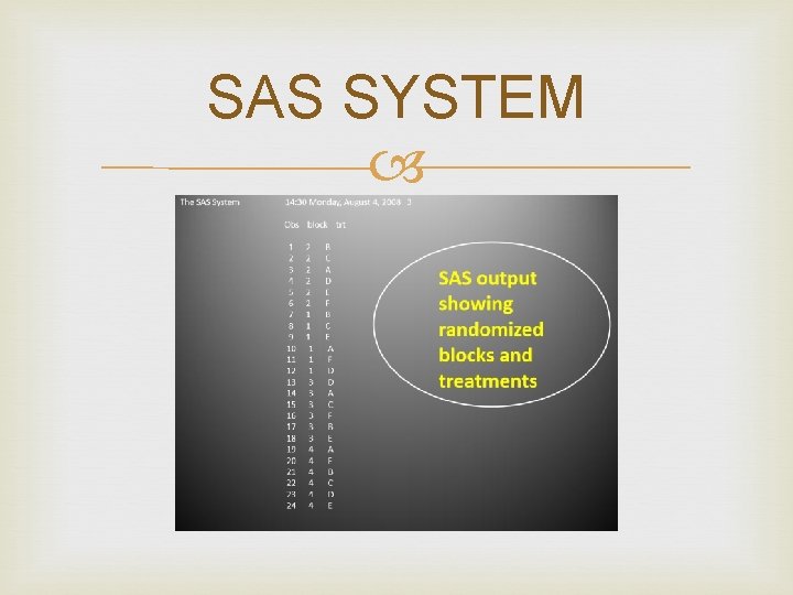 SAS SYSTEM SAS SYSTEM