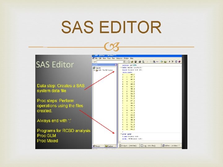 SAS EDITOR SAS EDITOR