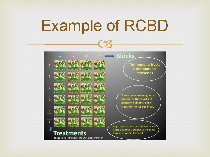 Example of RCBD Example of RCBD