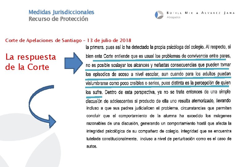 Medidas Jurisdiccionales Recurso de Protección Corte de Apelaciones de Santiago – 13 de julio