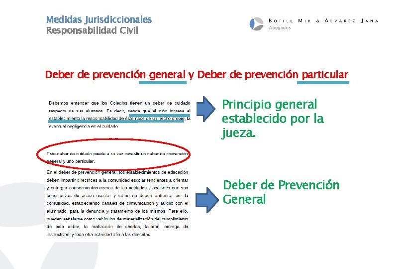 Medidas Jurisdiccionales Responsabilidad Civil Deber de prevención general y Deber de prevención particular Principio