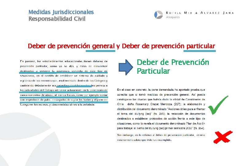 Medidas Jurisdiccionales Responsabilidad Civil Deber de prevención general y Deber de prevención particular Deber
