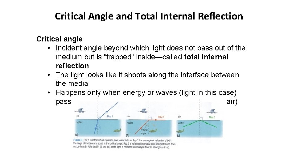 Critical Angle and Total Internal Reflection Critical angle • Incident angle beyond which light