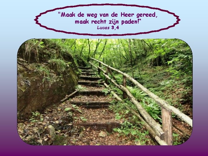 "Maak de weg van de Heer gereed, maak recht zijn paden!“ Lucas 3, 4