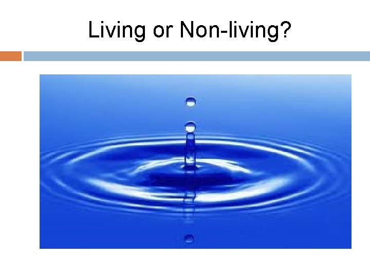 Living or Non-living? 