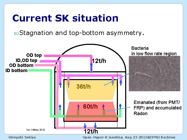 Current SK situation Stagnation and top-bottom asymmetry. Bacteria in low flow rate region OD