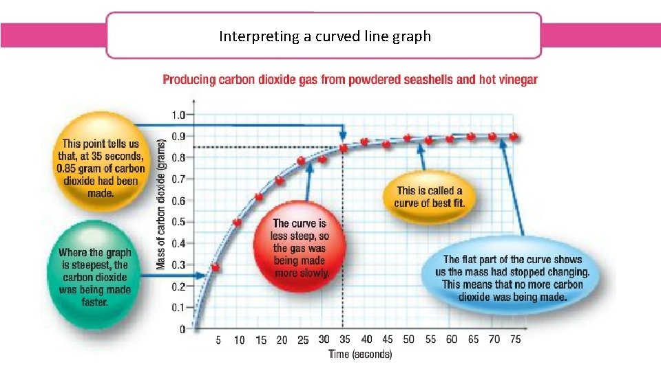 Interpreting a curved line graph 