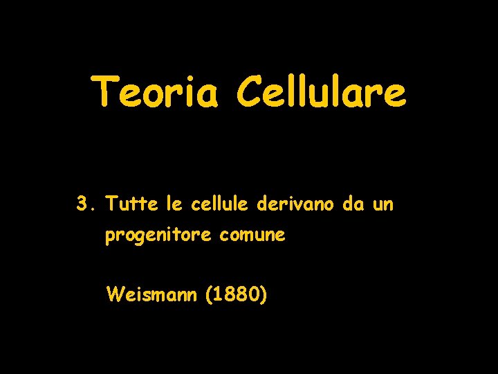 Teoria Cellulare 3. Tutte le cellule derivano da un progenitore comune Weismann (1880) 