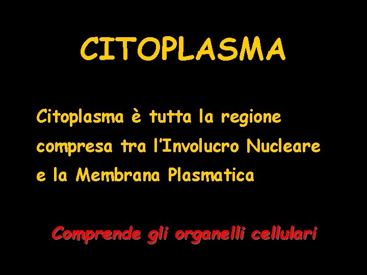 CITOPLASMA Citoplasma è tutta la regione compresa tra l’Involucro Nucleare e la Membrana Plasmatica