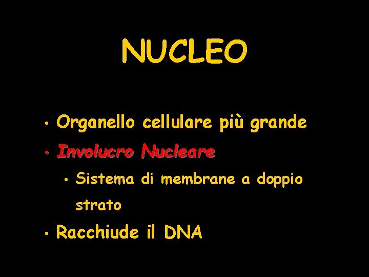 NUCLEO • Organello cellulare più grande • Involucro Nucleare • Sistema di membrane a