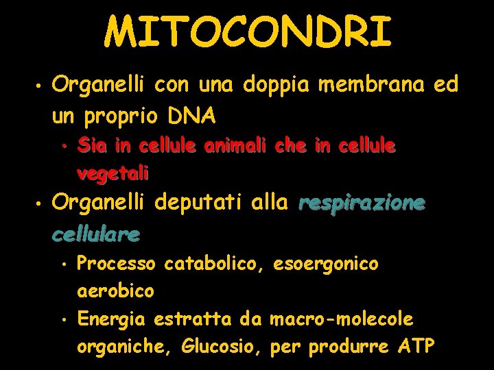 MITOCONDRI • Organelli con una doppia membrana ed un proprio DNA • • Sia