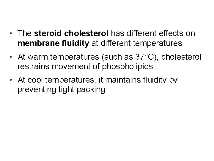  • The steroid cholesterol has different effects on membrane fluidity at different temperatures