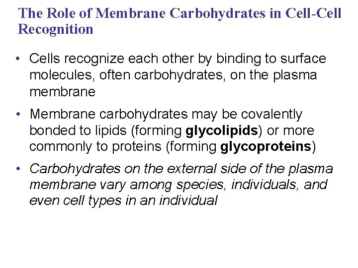 The Role of Membrane Carbohydrates in Cell-Cell Recognition • Cells recognize each other by